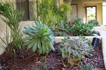 Beautiful landscaping